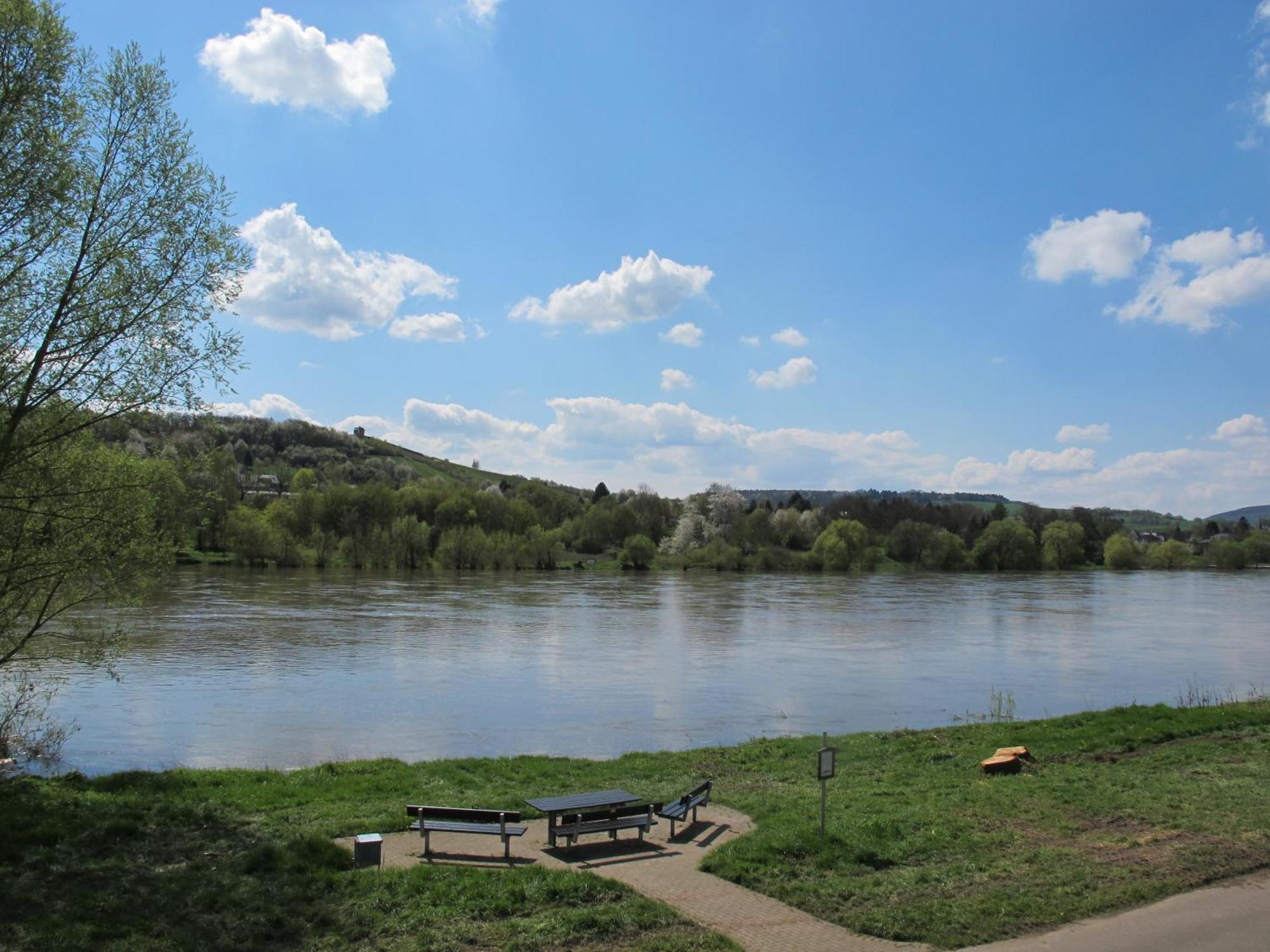 Mosel - River - Quartier 31 Lieser Exterior foto