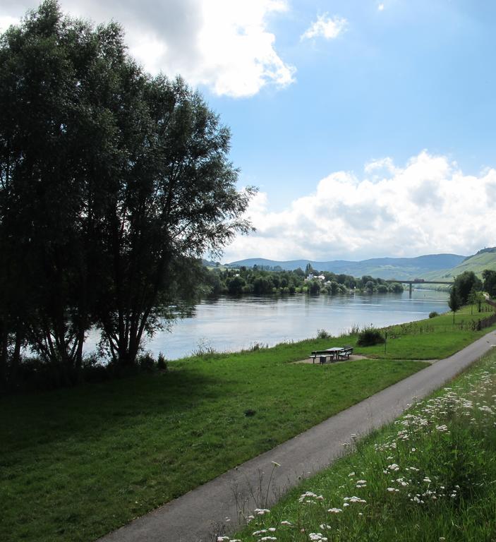 Mosel - River - Quartier 31 Lieser Exterior foto